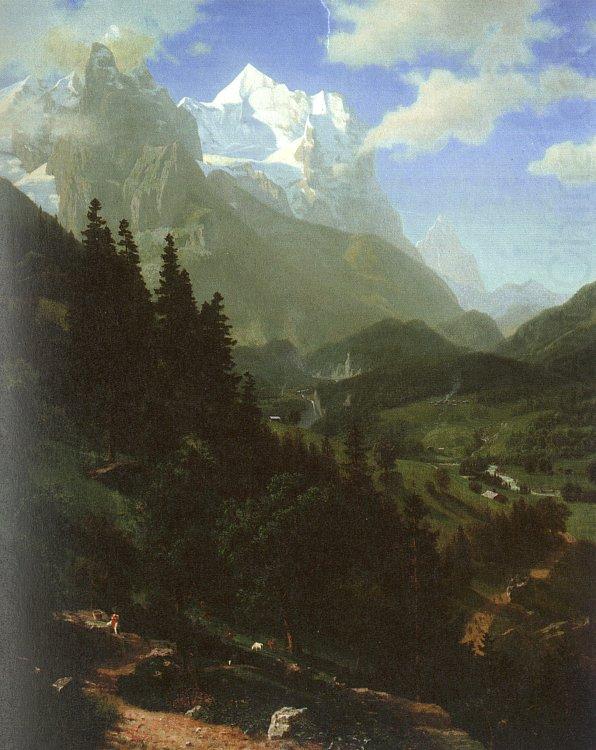 Bierstadt, Albert The Wetterhorn china oil painting image